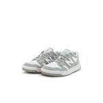 Nb 480 Ps